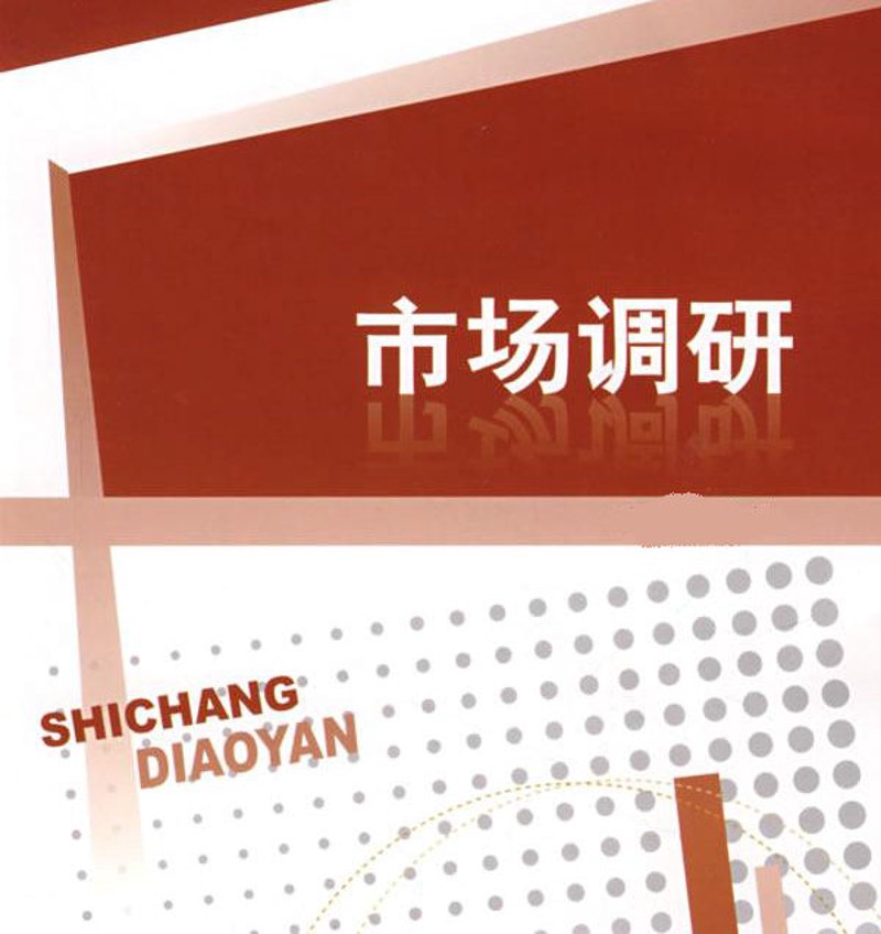 信息时代的智慧之光：上海信息咨询公司的崛起